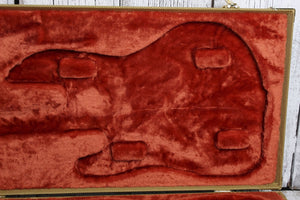 Fender® Pro Series Bass Cases 